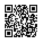 DCMZ17H5PNK87 QRCode