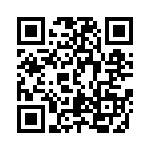 DDZX12C-13 QRCode