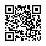 FCE17E09AD290 QRCode