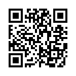 FCE17E09PB29B QRCode