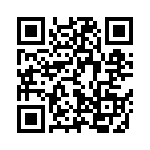 L17H1171137889 QRCode