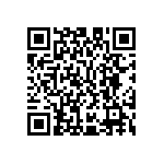 M55342K04B21B3RWS QRCode