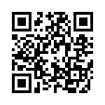 P1013NSN2EFB QRCode