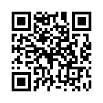 P4KE480A-B QRCode