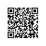 PA46-4-300-Q2-X-M-TK1 QRCode