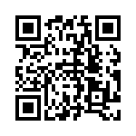 PT06P10-98SY QRCode