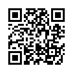 R46KI333040P1M QRCode