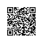 RCP1206B430RJTP QRCode