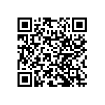 RNC55H1300BSRE6 QRCode