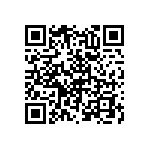 RNC55H9533FMBSL QRCode