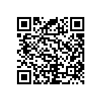 RNC55J1062BSRE6 QRCode