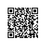 RNC55J2493BRRSL QRCode