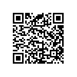 RNC55J2553FSBSL QRCode