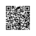 RNC55J6042FSRE6 QRCode