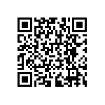 RNCF1206BTC301R QRCode