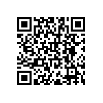 RNR55H1002FSRSL QRCode