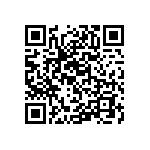 RT1206WRB078K06L QRCode