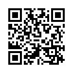 RT9524GQW QRCode