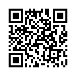 T38003-04-0 QRCode