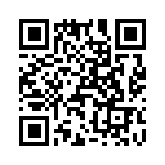 T38010-20-0 QRCode