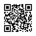 T38017-07-0 QRCode