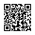 T38028-04-0 QRCode