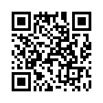 T38073-22-0 QRCode