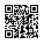 T38130-01-0 QRCode