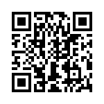 T38171-13-0 QRCode