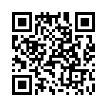 T38322-10-0 QRCode