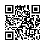 T38368-24-0 QRCode