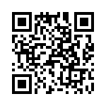 T38413-21-0 QRCode