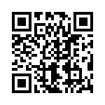 T93YB202KT20 QRCode