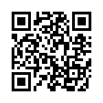 W33-T4B1Q-12 QRCode