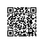 Y16242K87000T9W QRCode