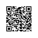 Y16302K61000T9W QRCode