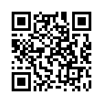 Y1765V0009TT0L QRCode