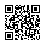 0391001004 QRCode