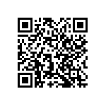 0505Y2004P30BQT QRCode