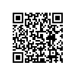 0505Y300P900DQT QRCode