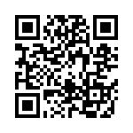 06031C132JAT2A QRCode