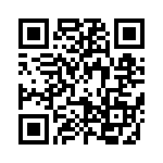 095131009300 QRCode