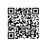 1003P2T6B11M1QE QRCode