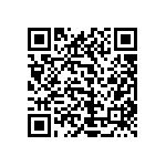 1111Y1001P20DQT QRCode