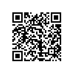 1111Y3002P00DQT QRCode