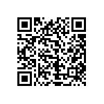 1111Y5004P00HQT QRCode