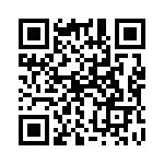 132171 QRCode