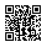 2906233 QRCode