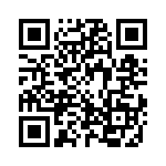 3-2013310-5 QRCode