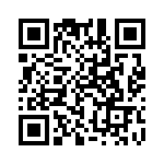 3-2176073-2 QRCode